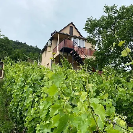 Feher Szolo Vendeghaz Satoraljaujhely Exterior photo